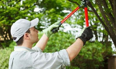 residential cleaning service melbourne